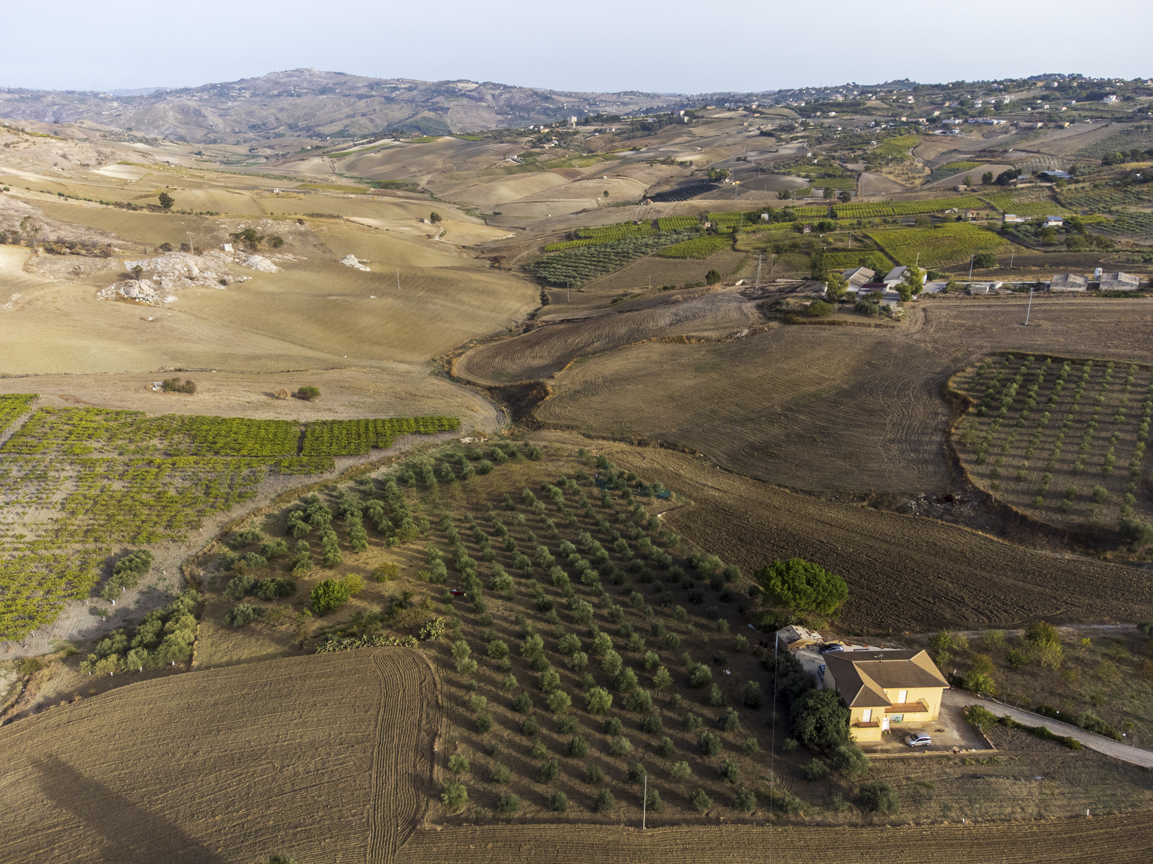 Aerial View of Farm